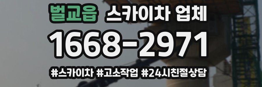 벌교읍 스카이차 업체