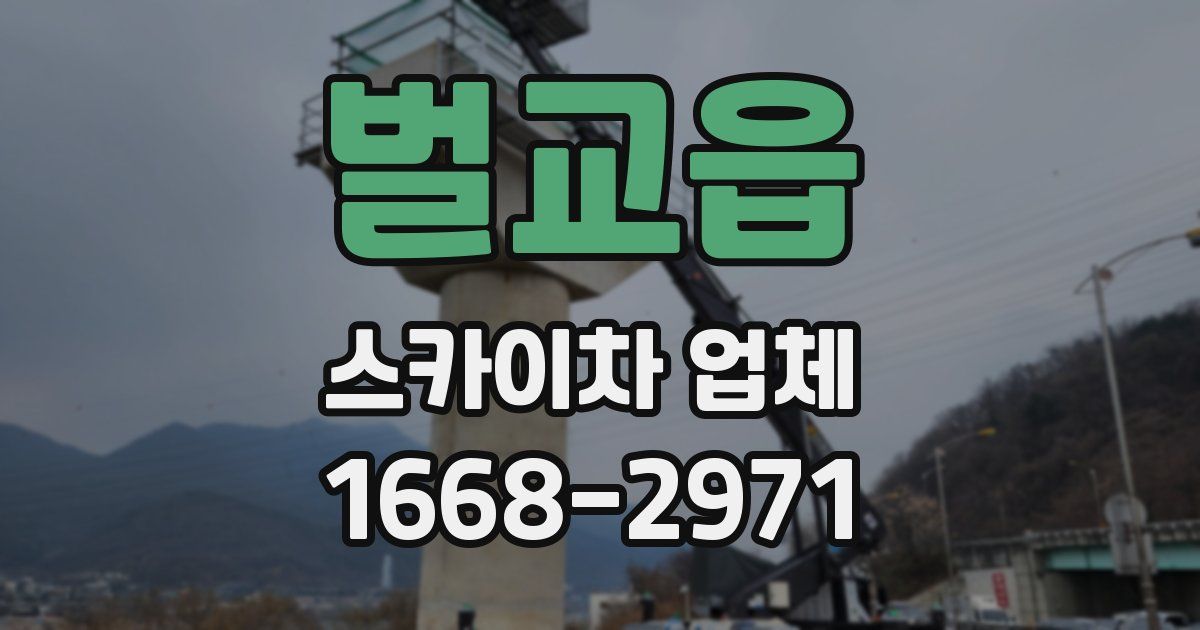 벌교읍 스카이차 업체