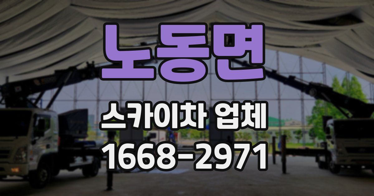 노동면 스카이차 업체