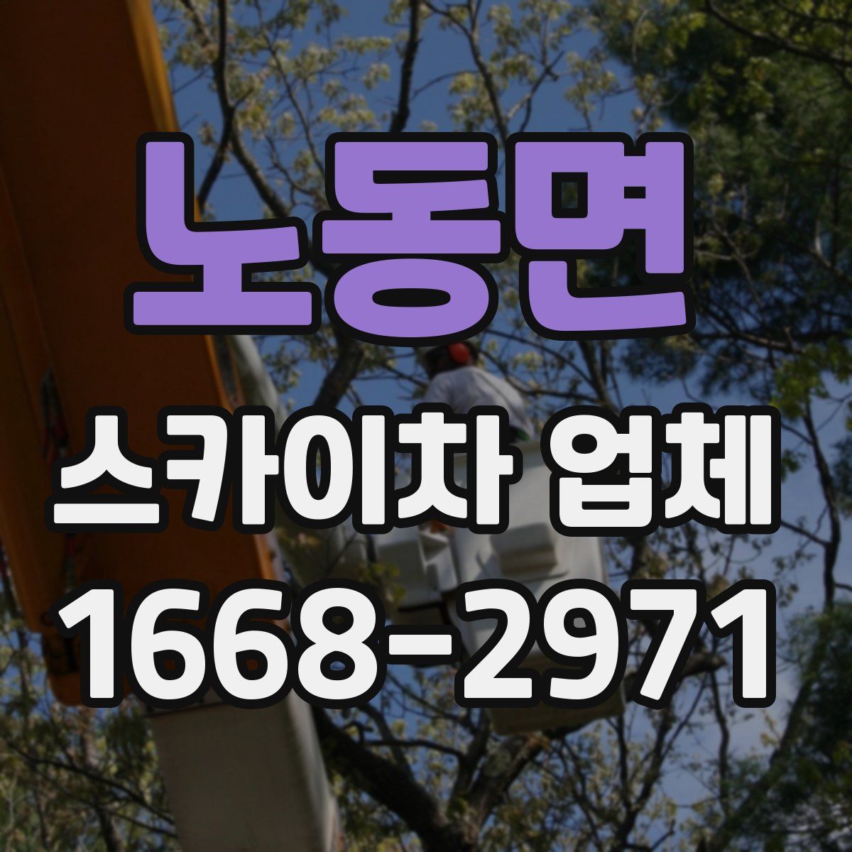 노동면 스카이차 업체