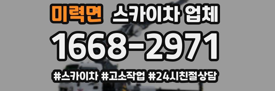 미력면 스카이차 업체