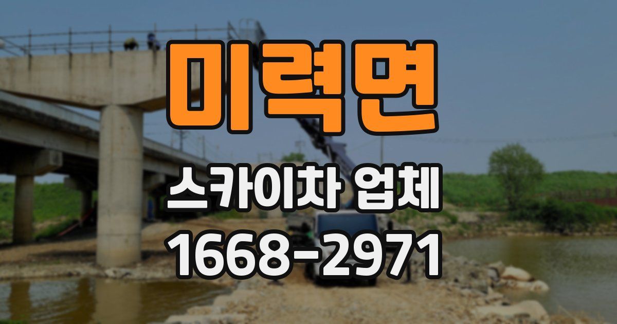 미력면 스카이차 업체