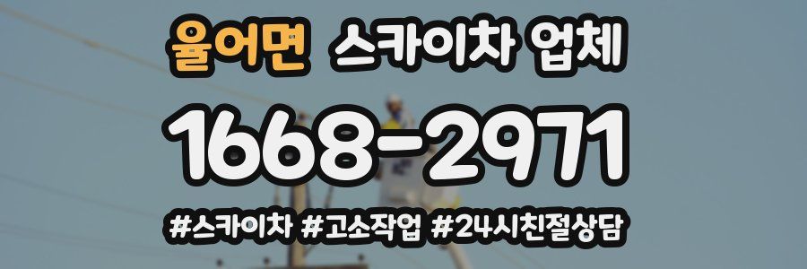 율어면 스카이차 업체