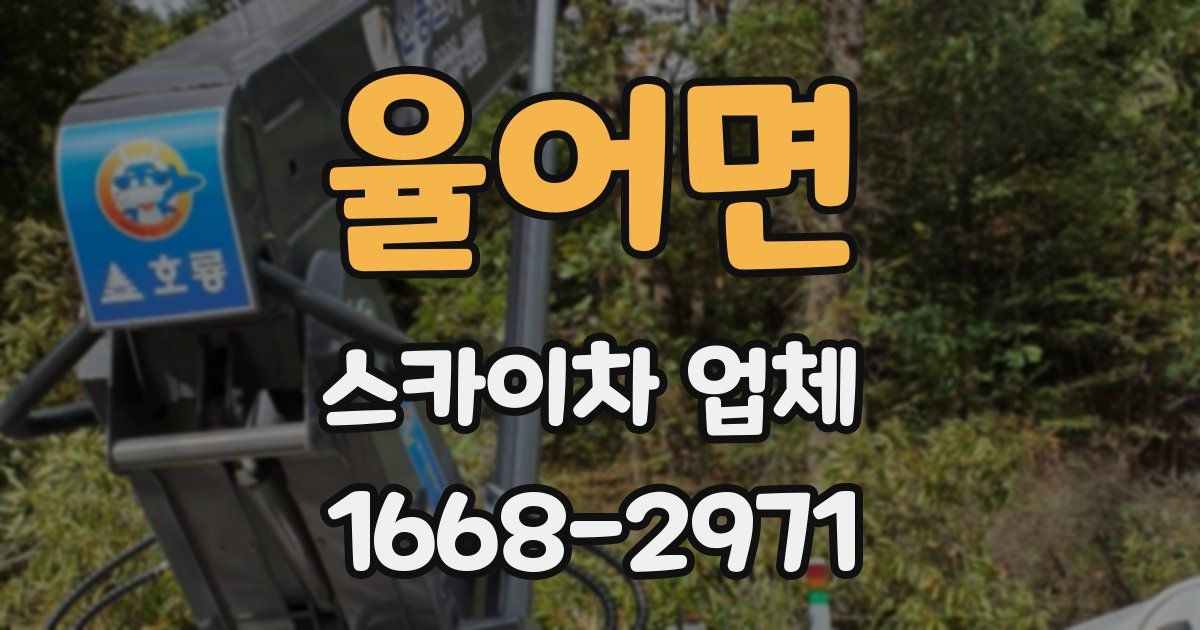 율어면 스카이차 업체
