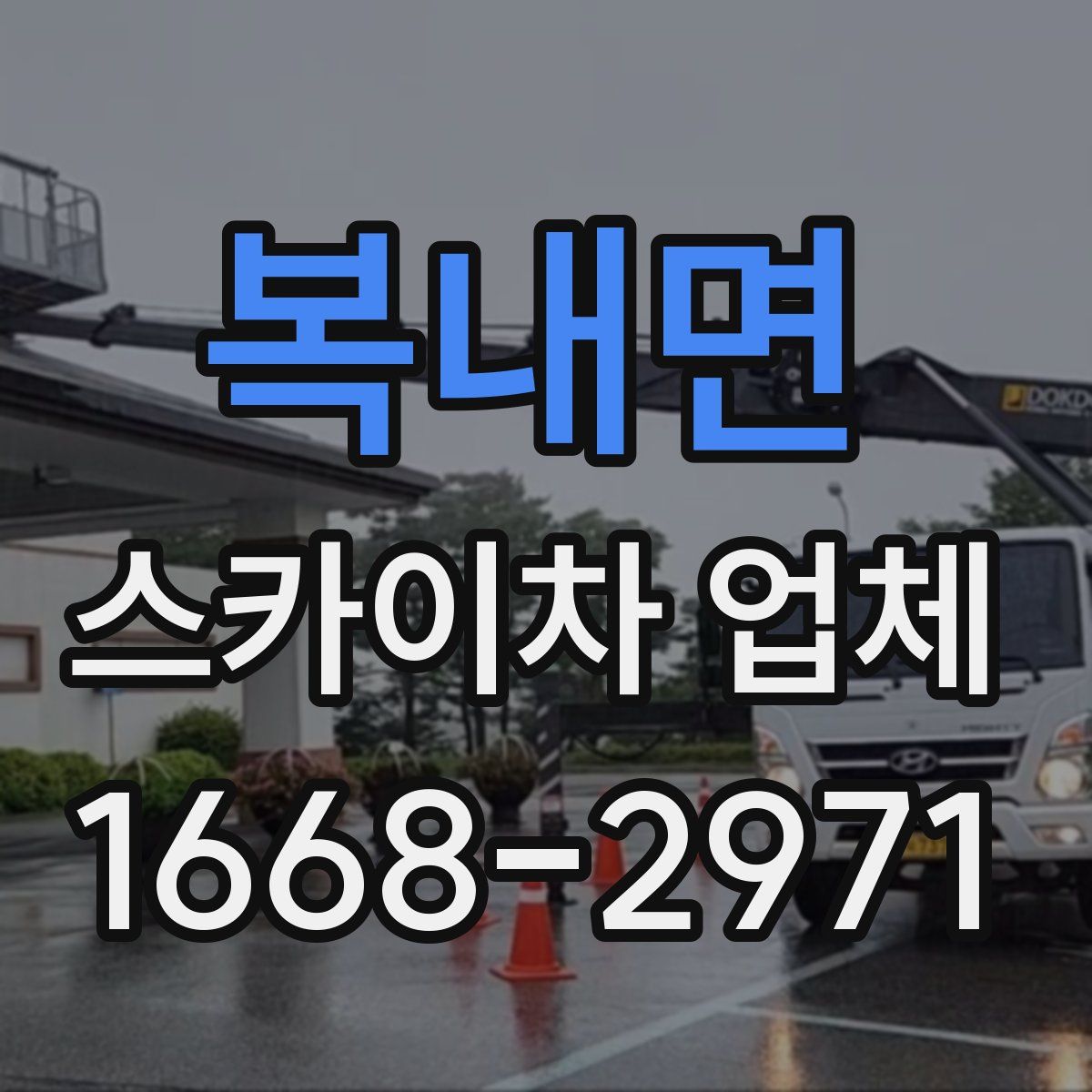 복내면 스카이차 업체