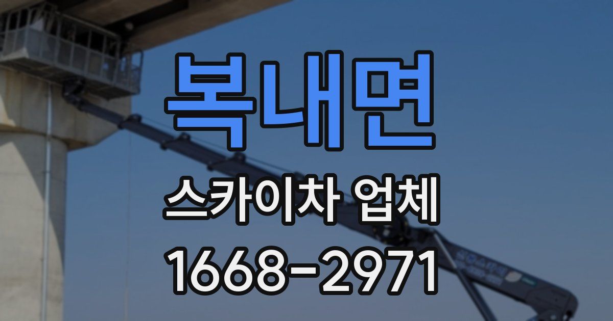 복내면 스카이차 업체