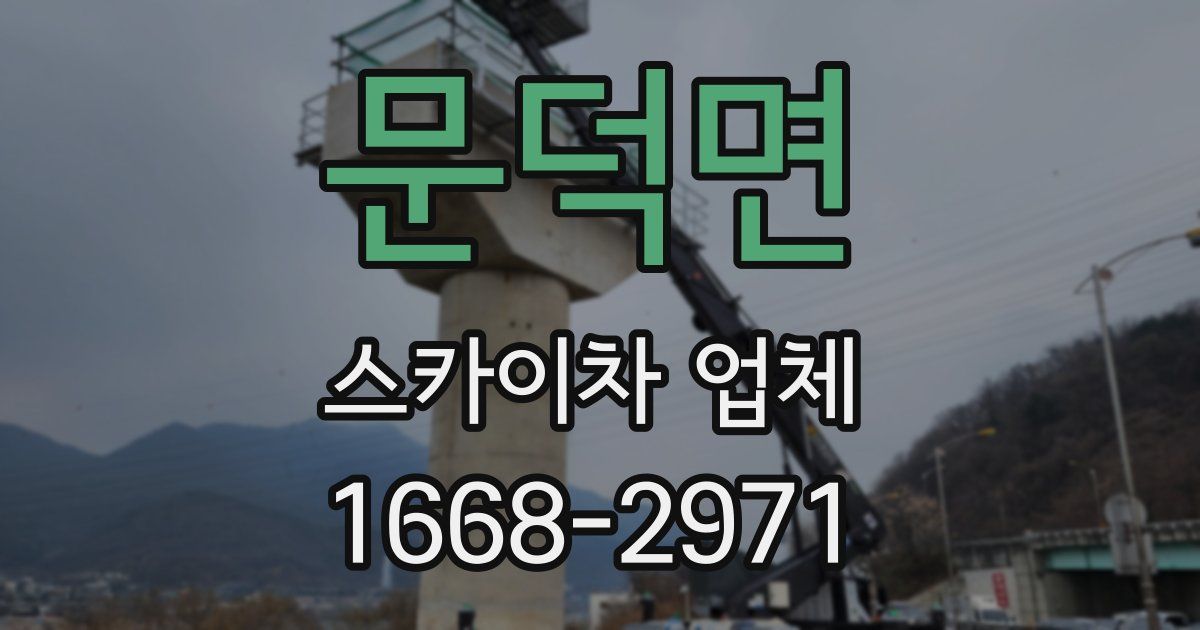 문덕면 스카이차 업체