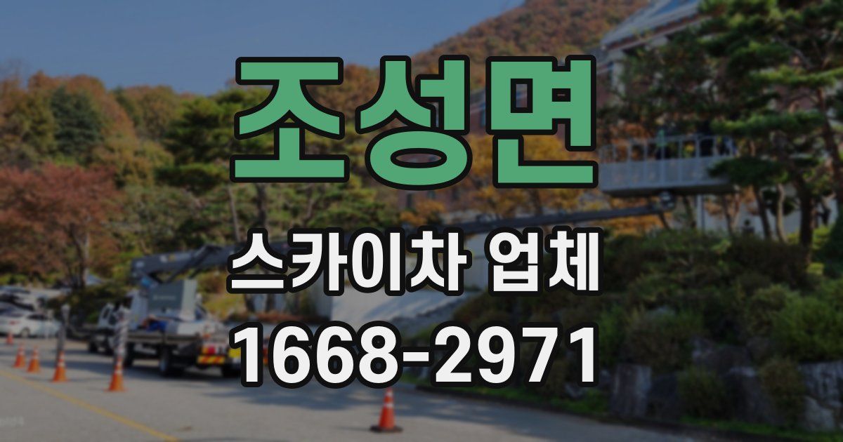 조성면 스카이차 업체