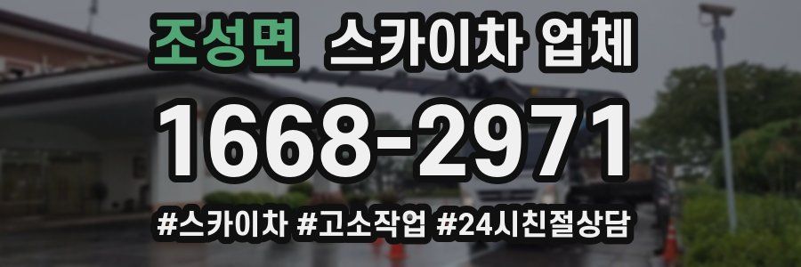 조성면 스카이차 업체