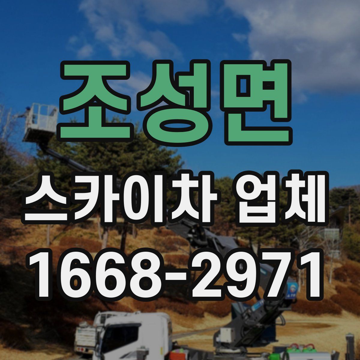 조성면 스카이차 업체