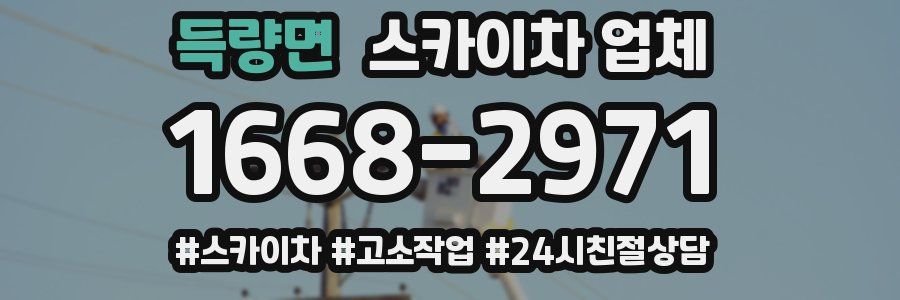 득량면 스카이차 업체