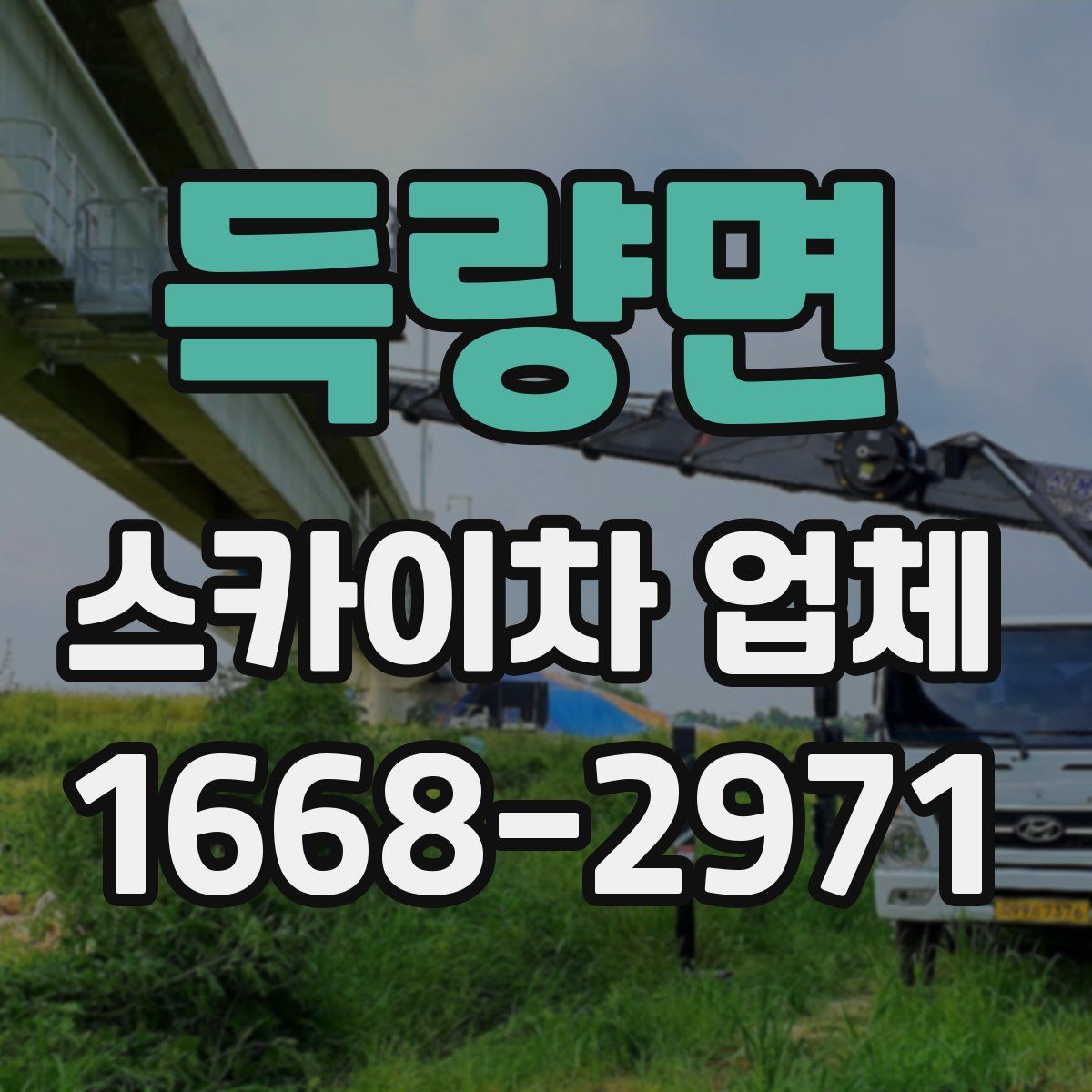 득량면 스카이차 업체