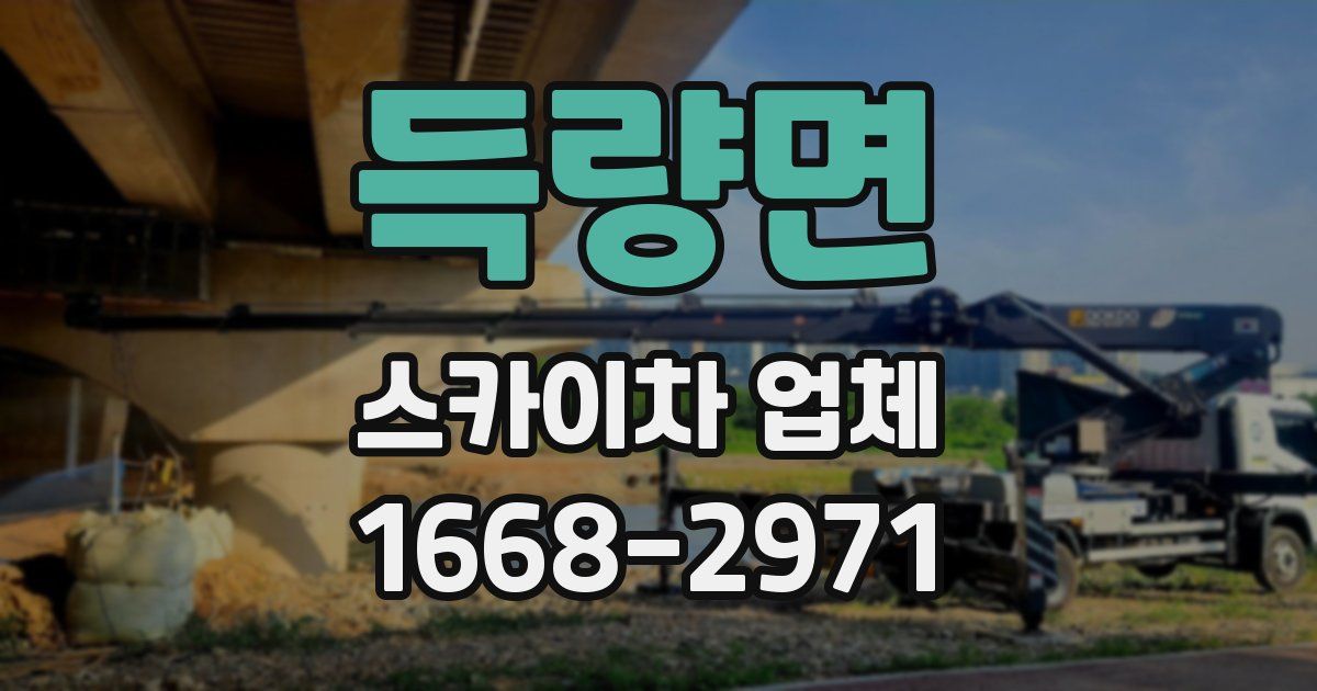 득량면 스카이차 업체