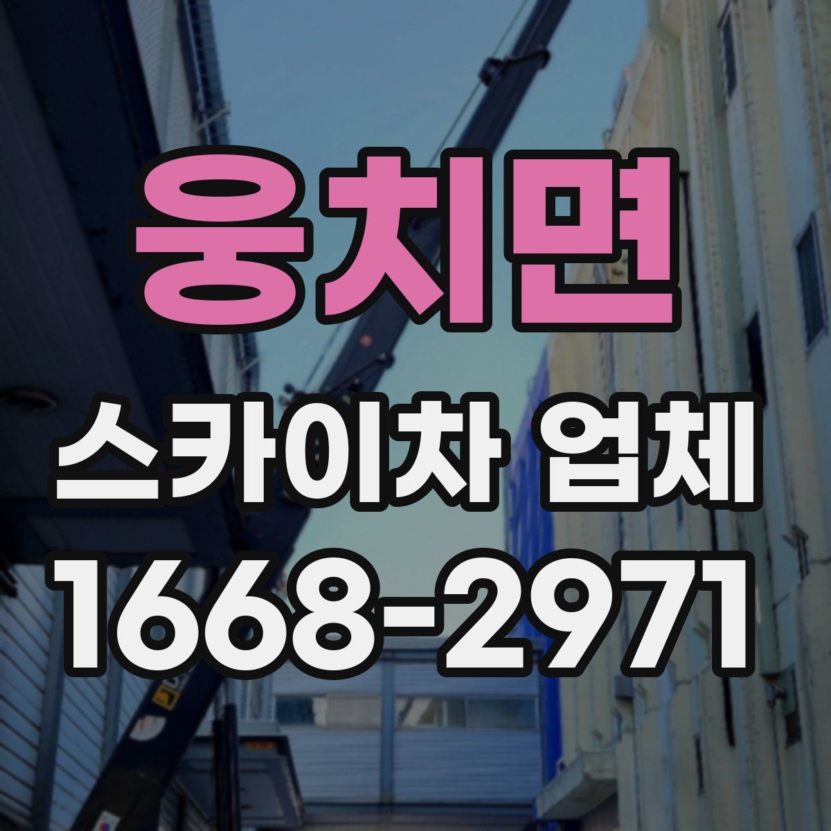 웅치면 스카이차 업체