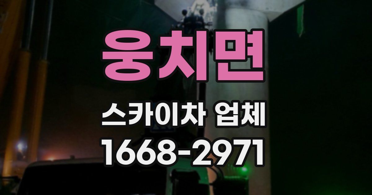 웅치면 스카이차 업체