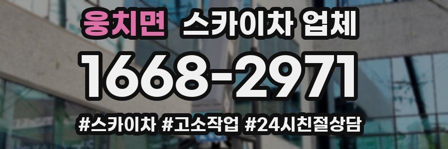 웅치면 스카이차 업체