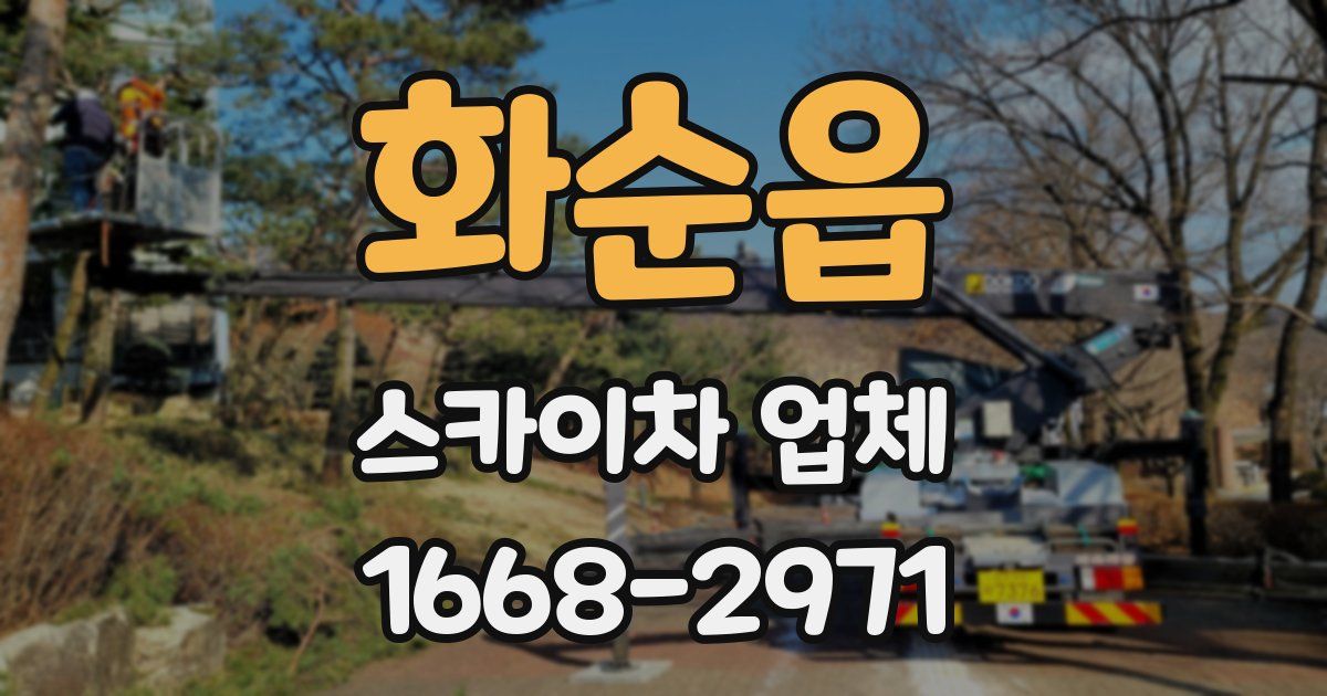 화순읍 스카이차 업체