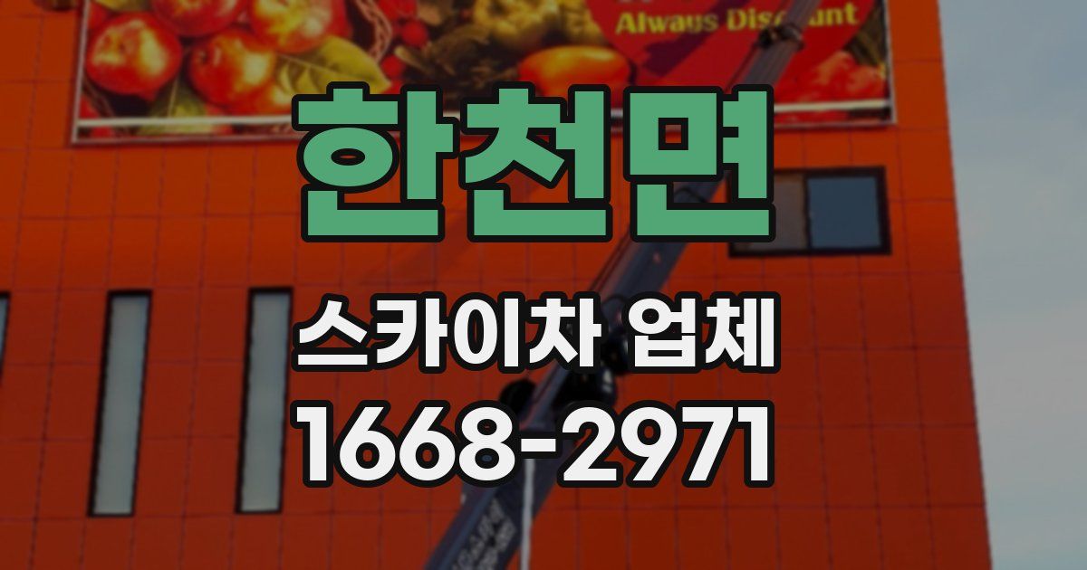 한천면 스카이차 업체