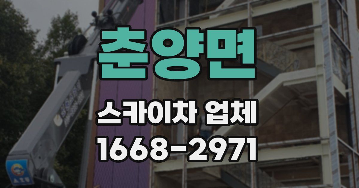 춘양면 스카이차 업체
