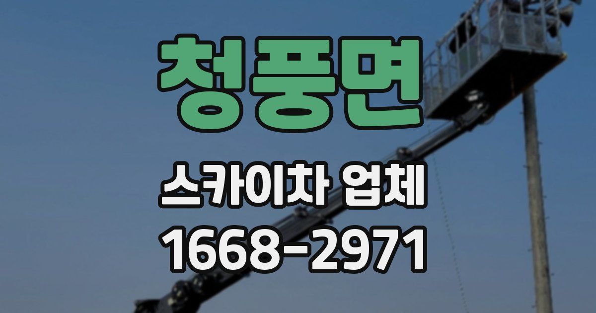 청풍면 스카이차 업체