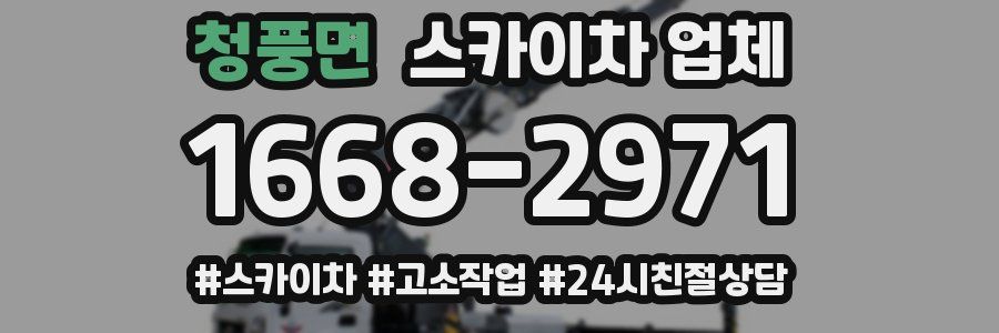 청풍면 스카이차 업체