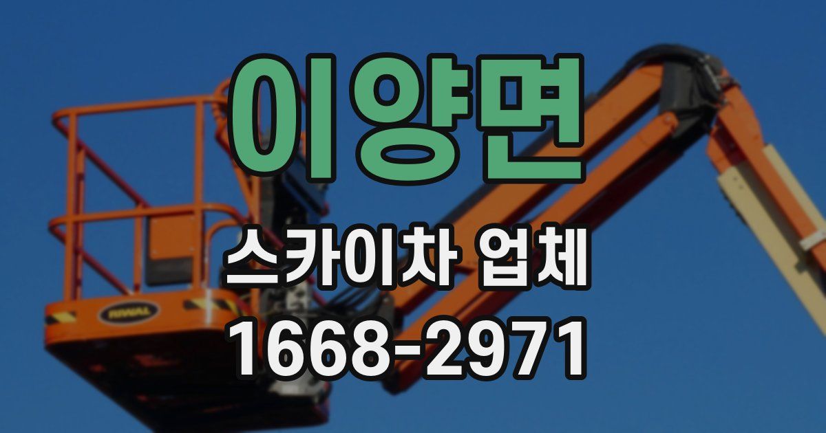 이양면 스카이차 업체