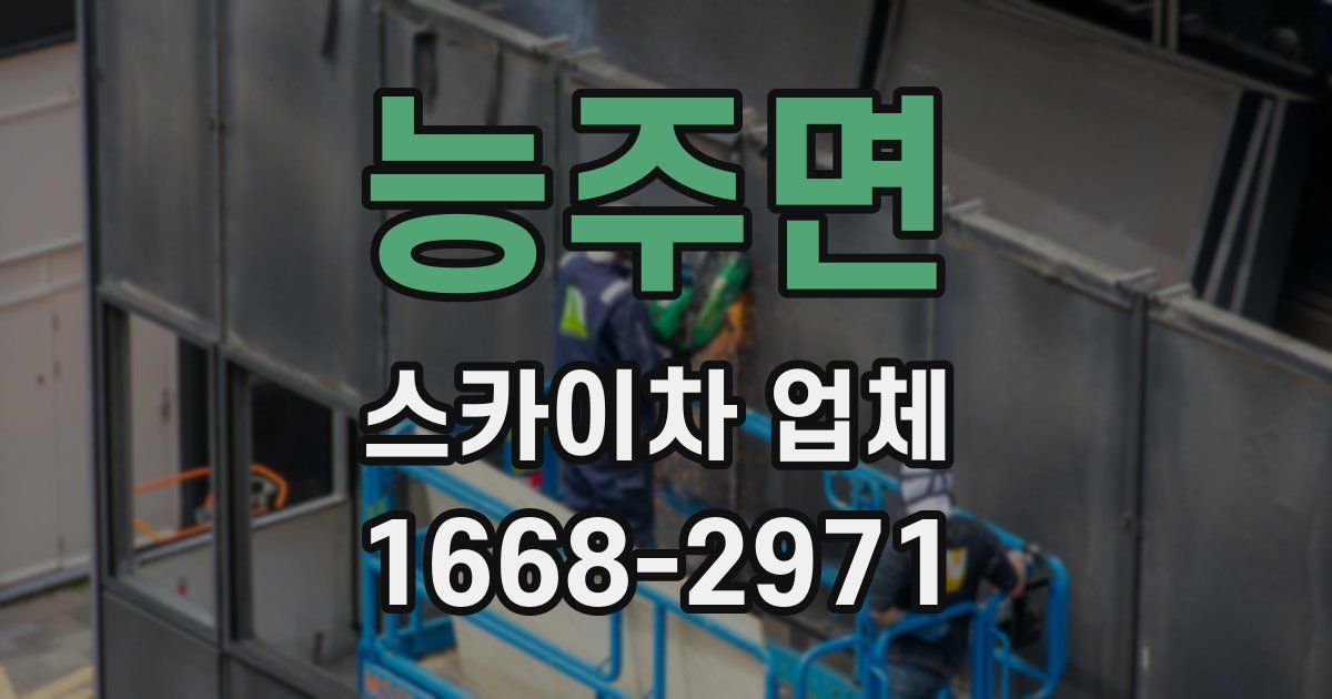 능주면 스카이차 업체