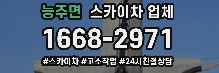 능주면 스카이차 업체