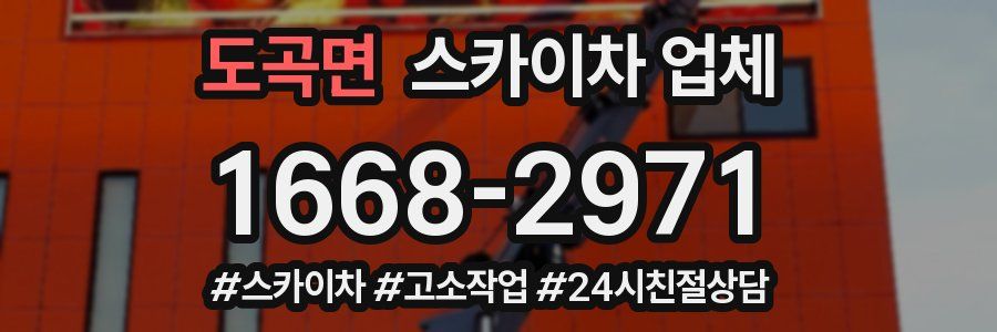 도곡면 스카이차 업체