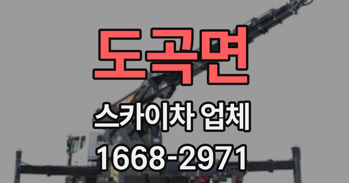 도곡면 스카이차 업체