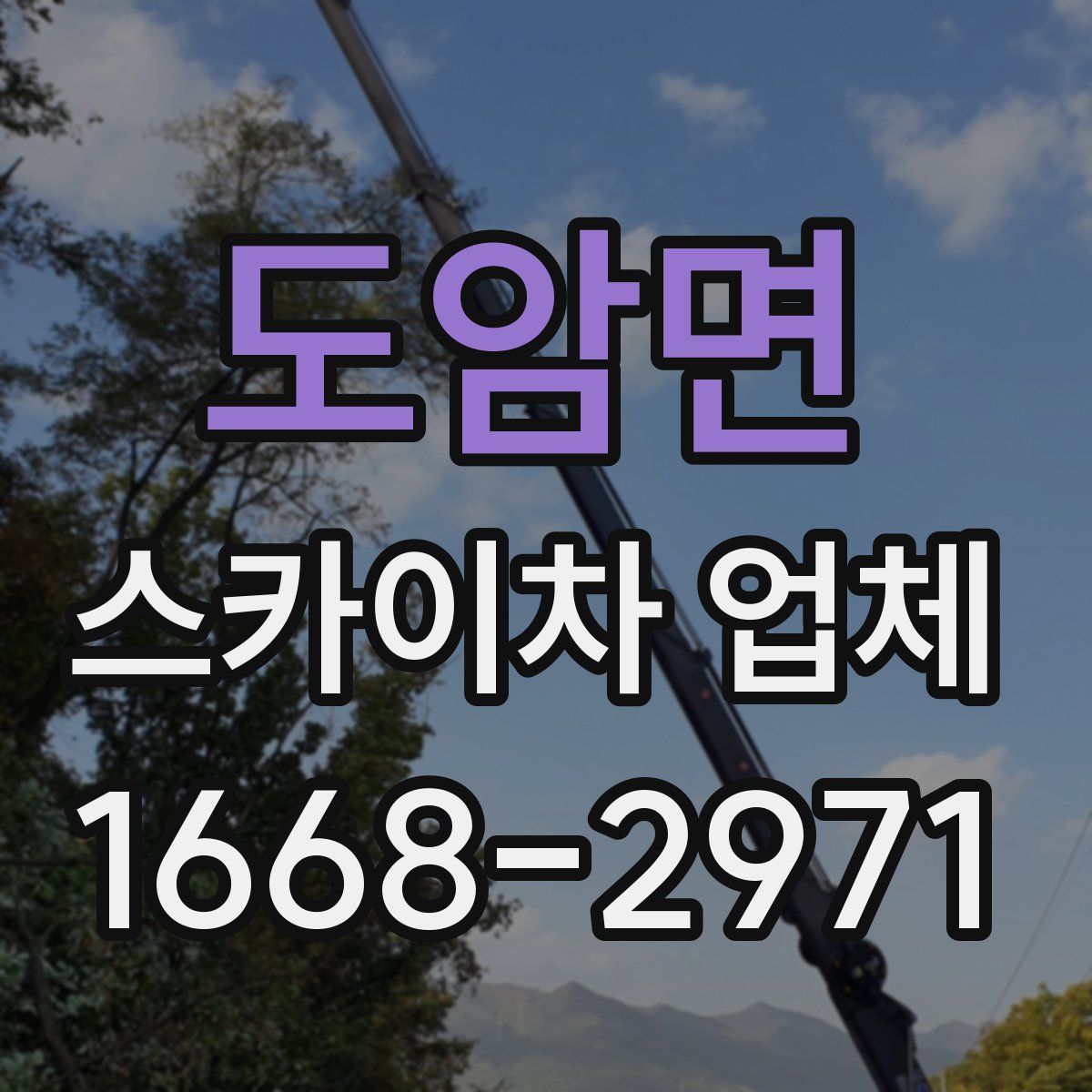 도암면 스카이차 업체