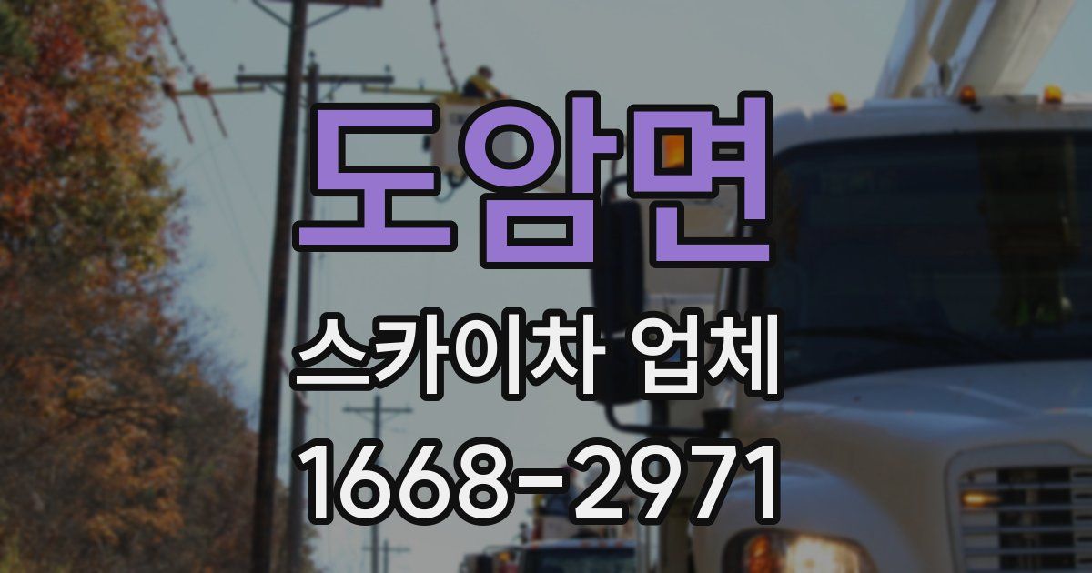 도암면 스카이차 업체