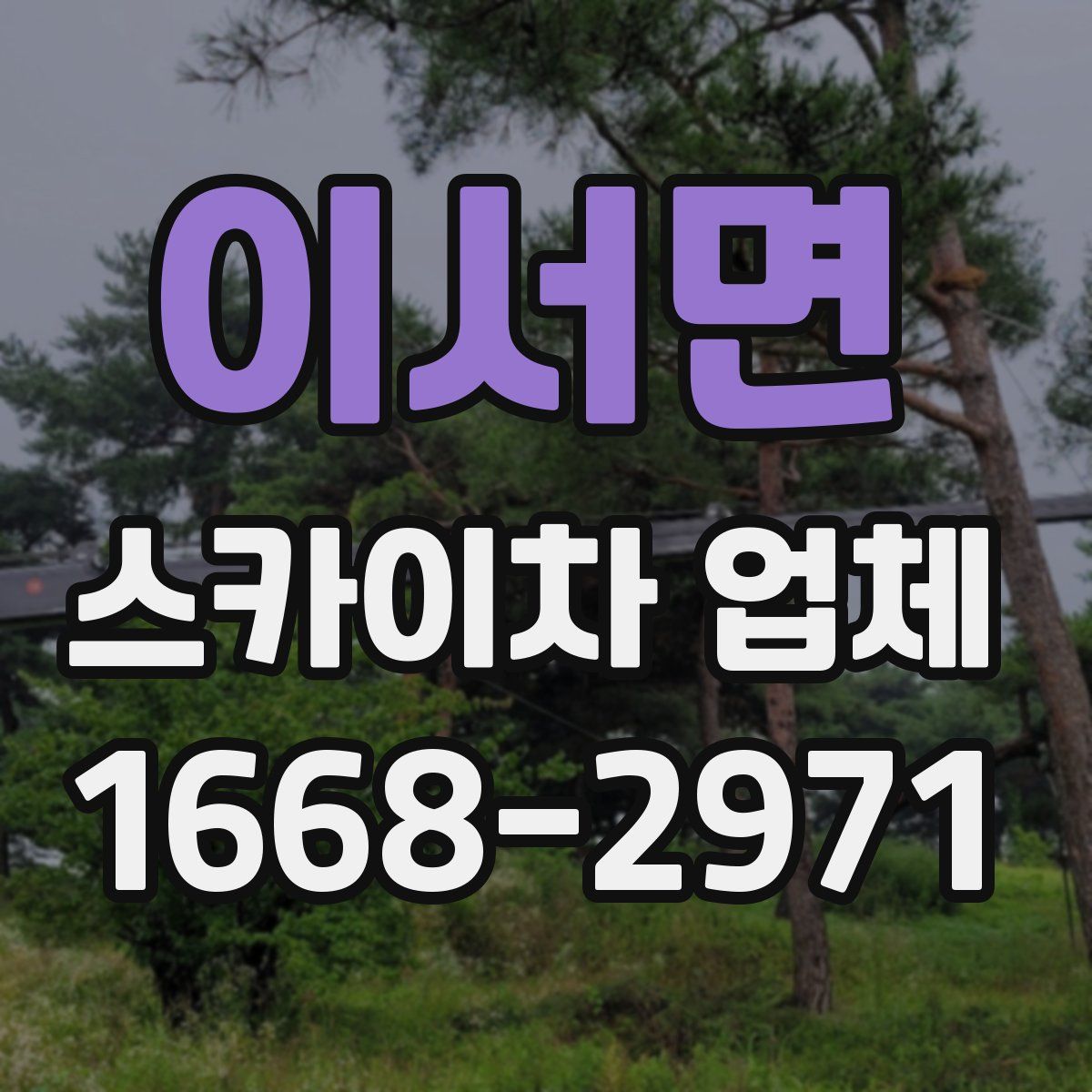 이서면 스카이차 업체