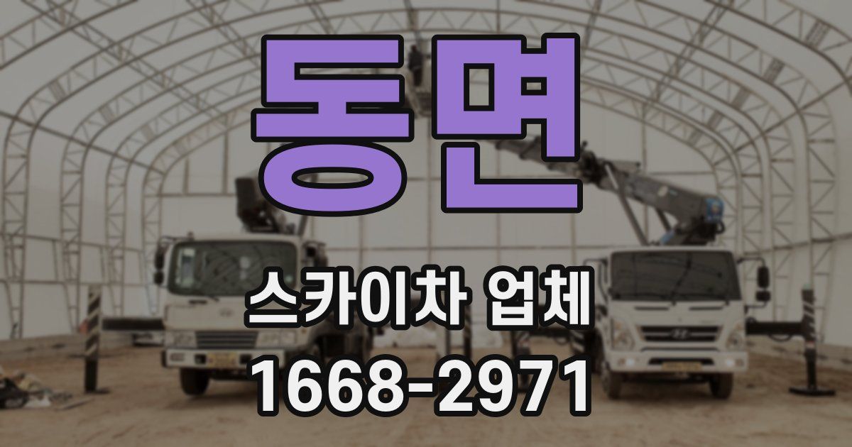 동면 스카이차 업체