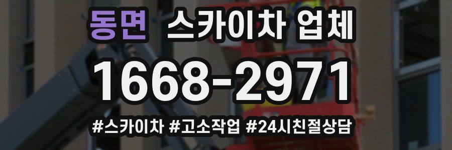 동면 스카이차 업체