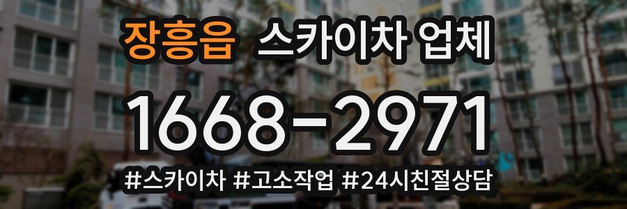 장흥읍 스카이차 업체