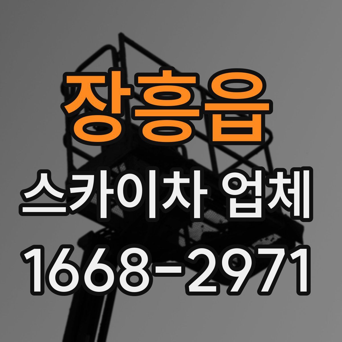 장흥읍 스카이차 업체