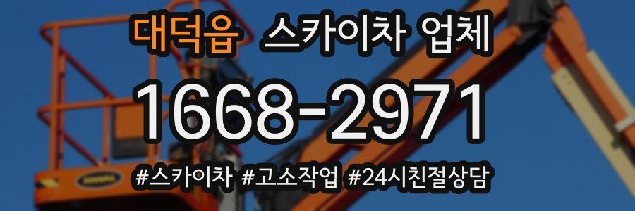 대덕읍 스카이차 업체