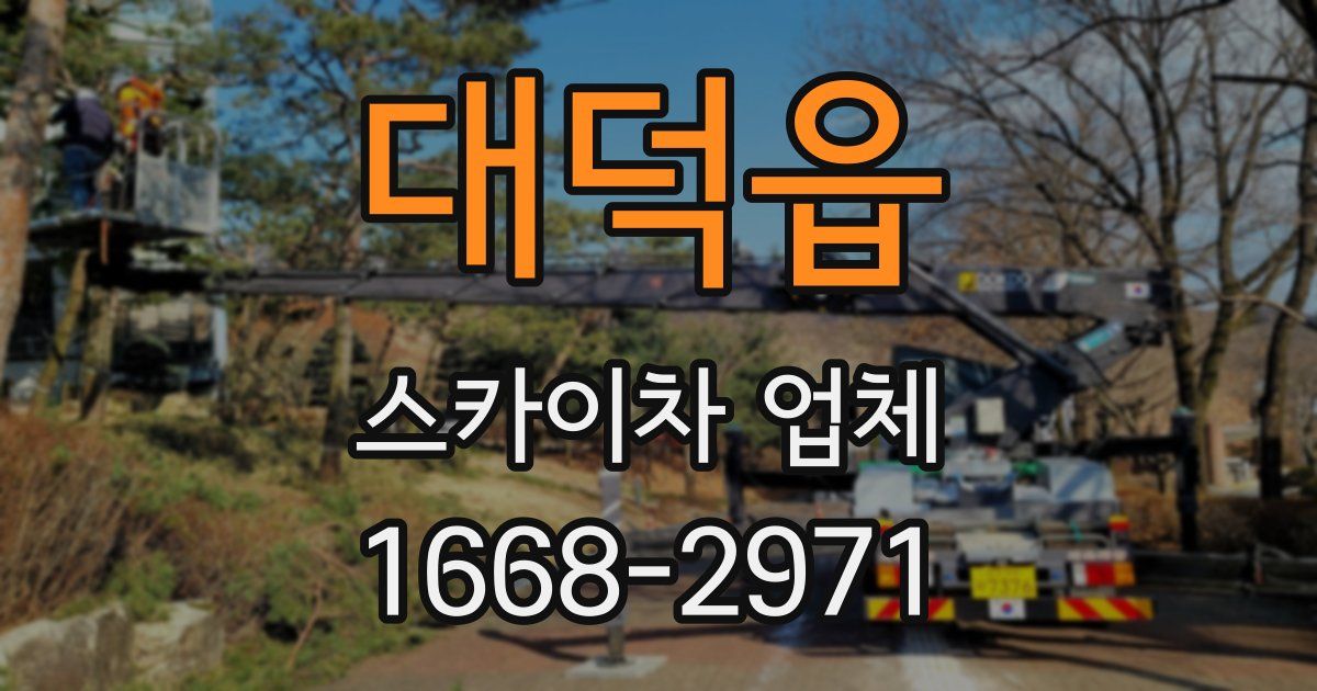 대덕읍 스카이차 업체