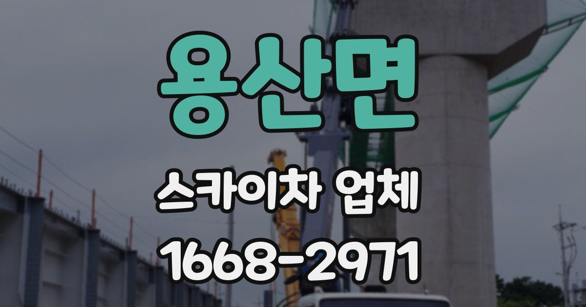 용산면 스카이차 업체