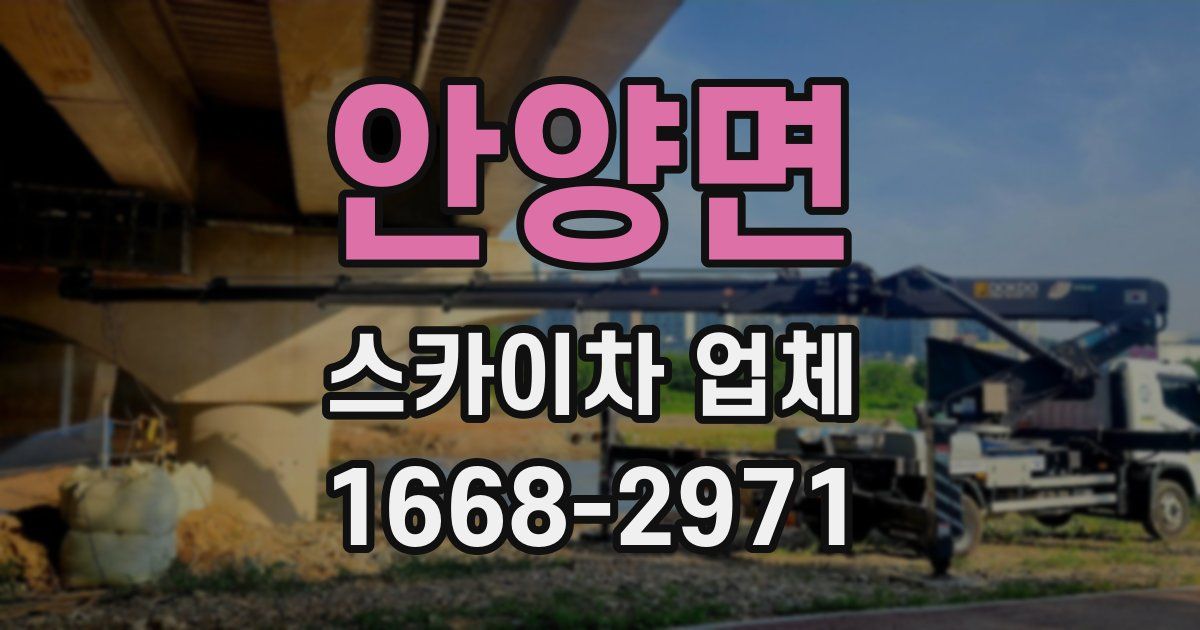 안양면 스카이차 업체