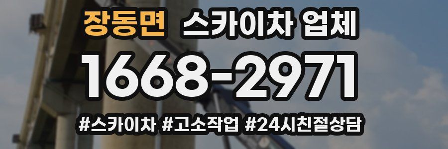 장동면 스카이차 업체