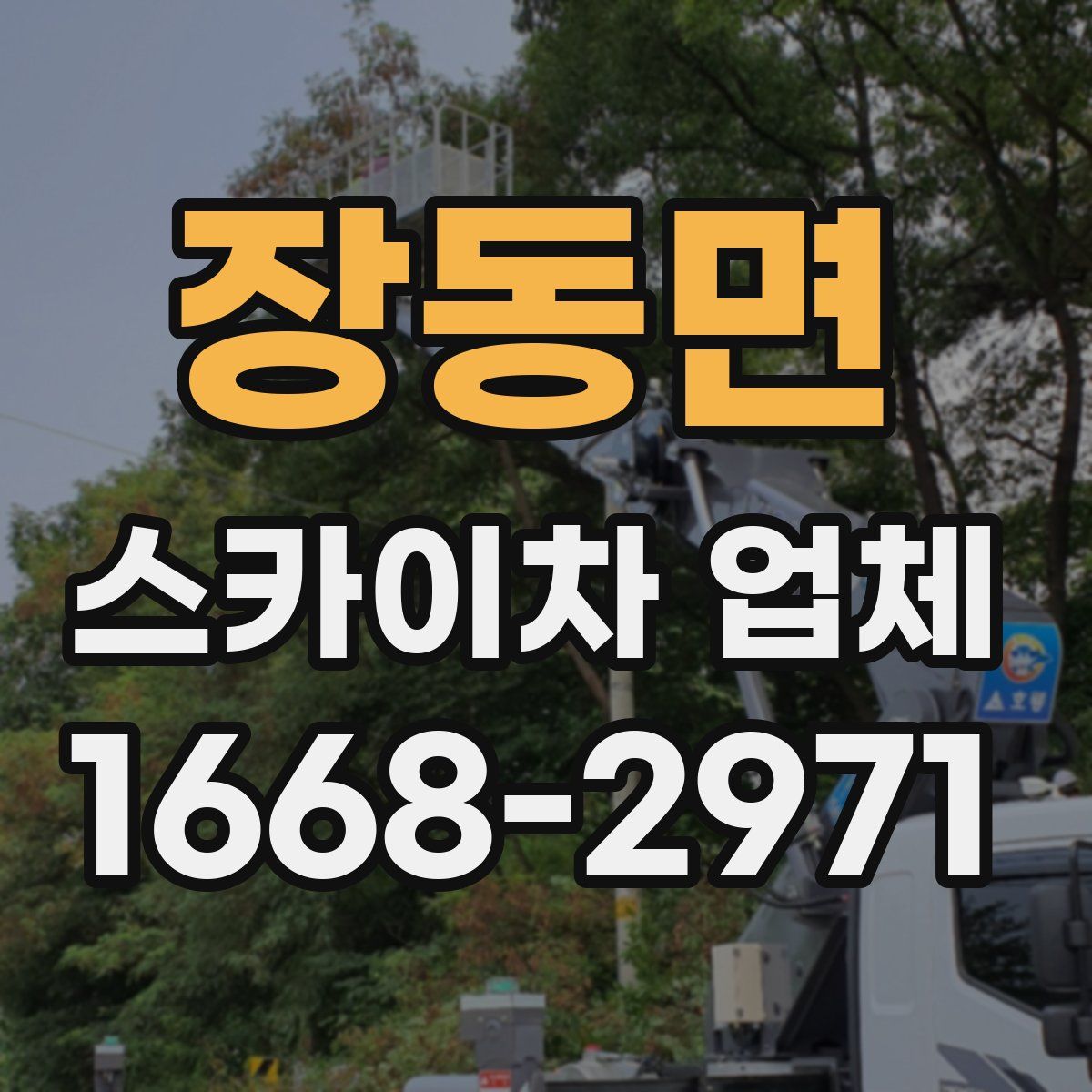 장동면 스카이차 업체