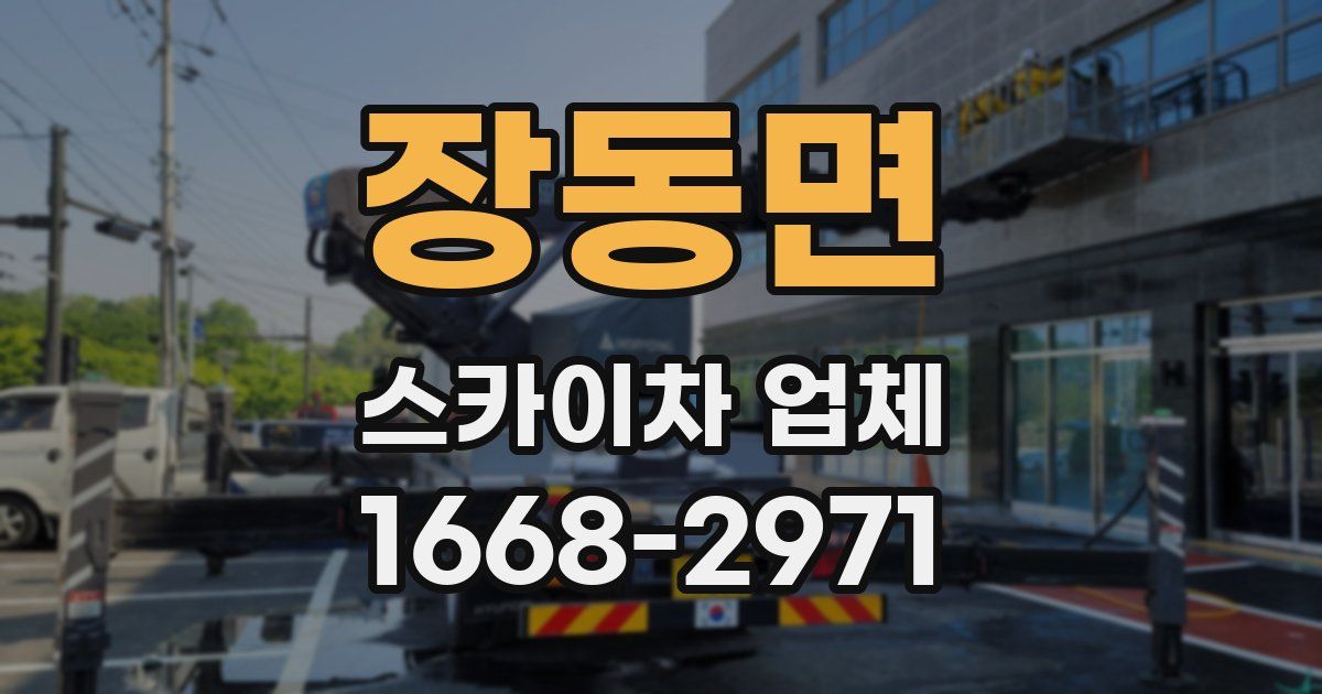 장동면 스카이차 업체