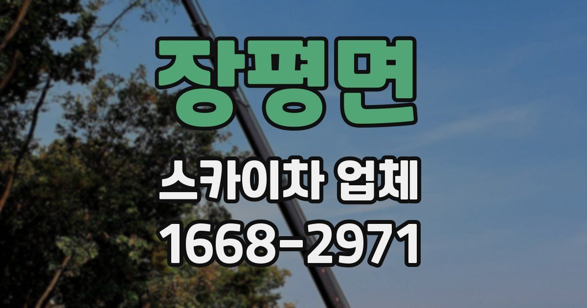 장평면 스카이차 업체