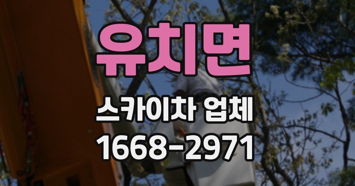 유치면 스카이차 업체