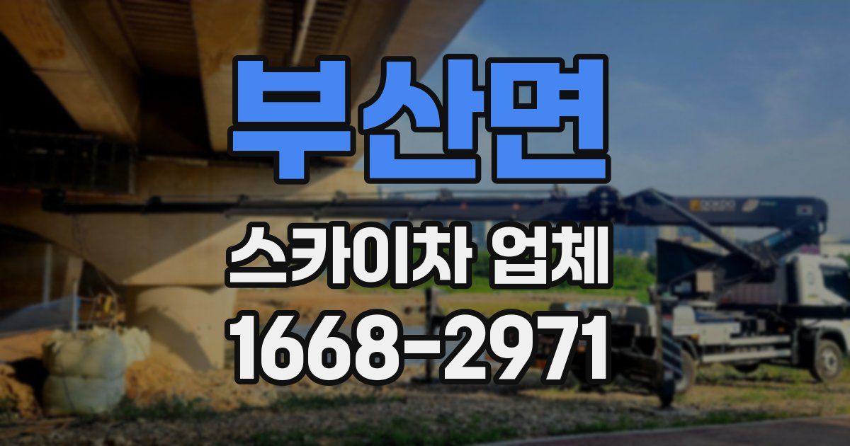 부산면 스카이차 업체