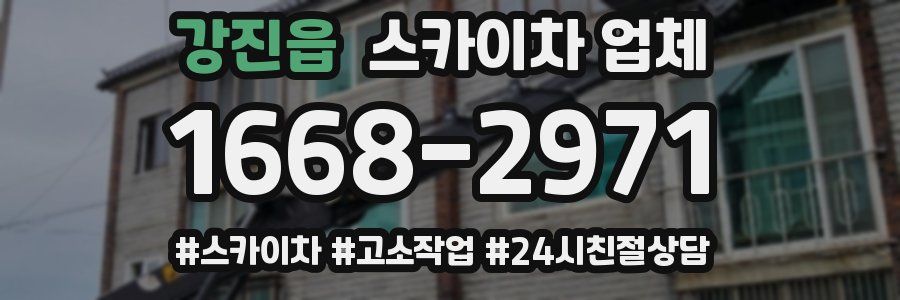 강진읍 스카이차 업체