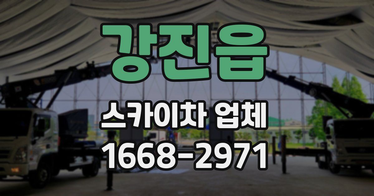 강진읍 스카이차 업체