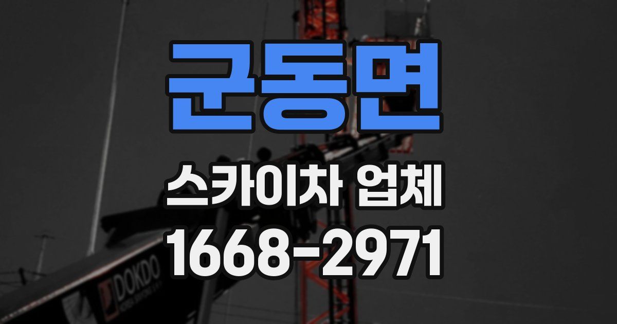 군동면 스카이차 업체